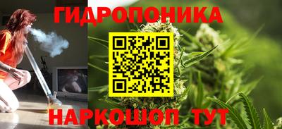 индика Гагарин