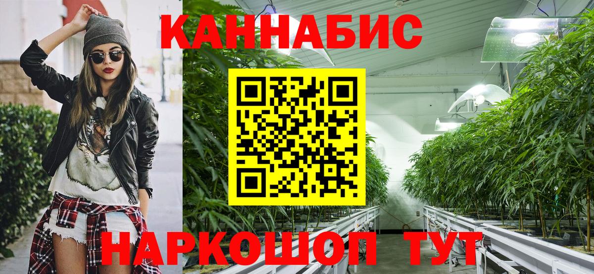 Каннабис планчик Калач-на-Дону